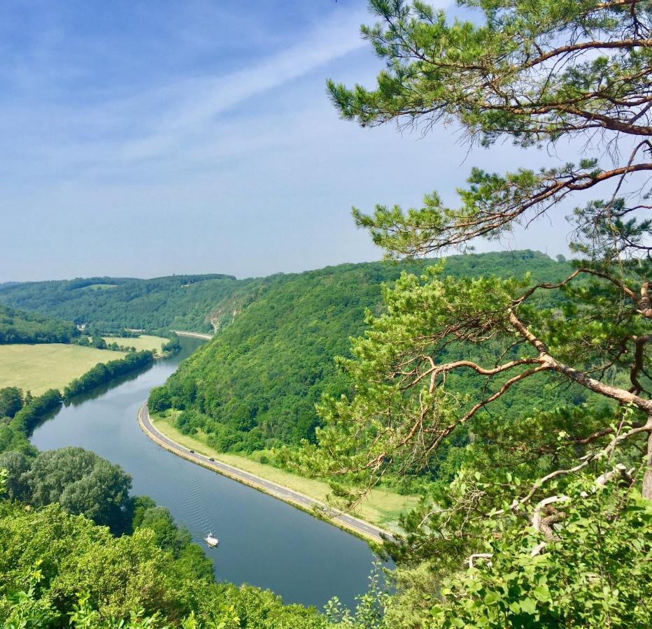 Cocooning Near Dinant 300M From River Meuse Blaimont المظهر الخارجي الصورة