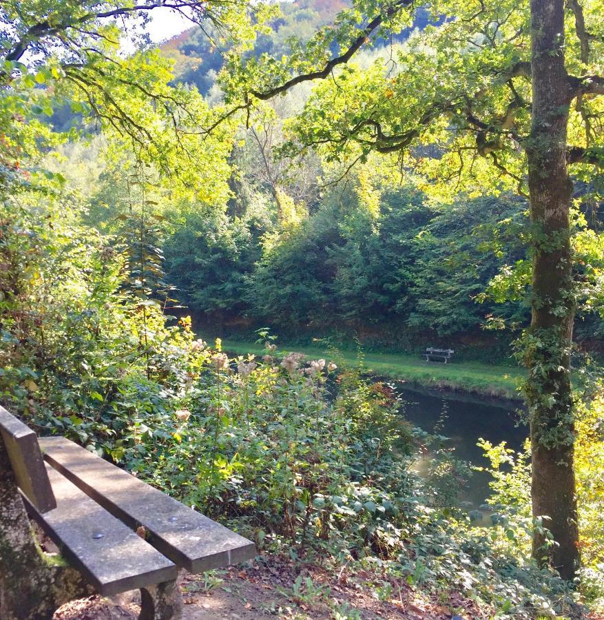 Cocooning Near Dinant 300M From River Meuse Blaimont المظهر الخارجي الصورة