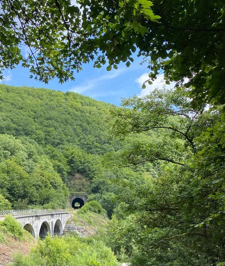 Cocooning Near Dinant 300M From River Meuse Blaimont المظهر الخارجي الصورة